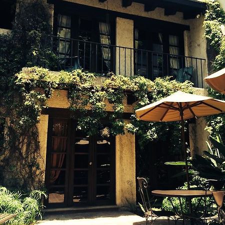Cissus Hotel Boutique (Adults Only) Antigua Exterior photo