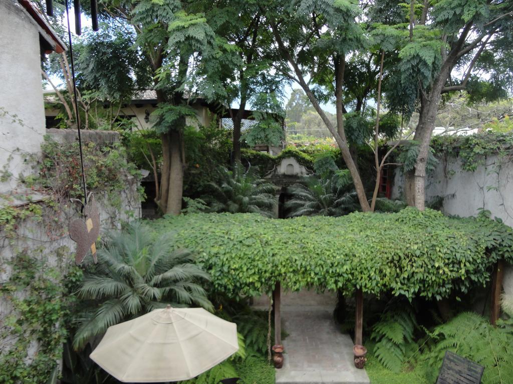 Cissus Hotel Boutique (Adults Only) Antigua Exterior photo