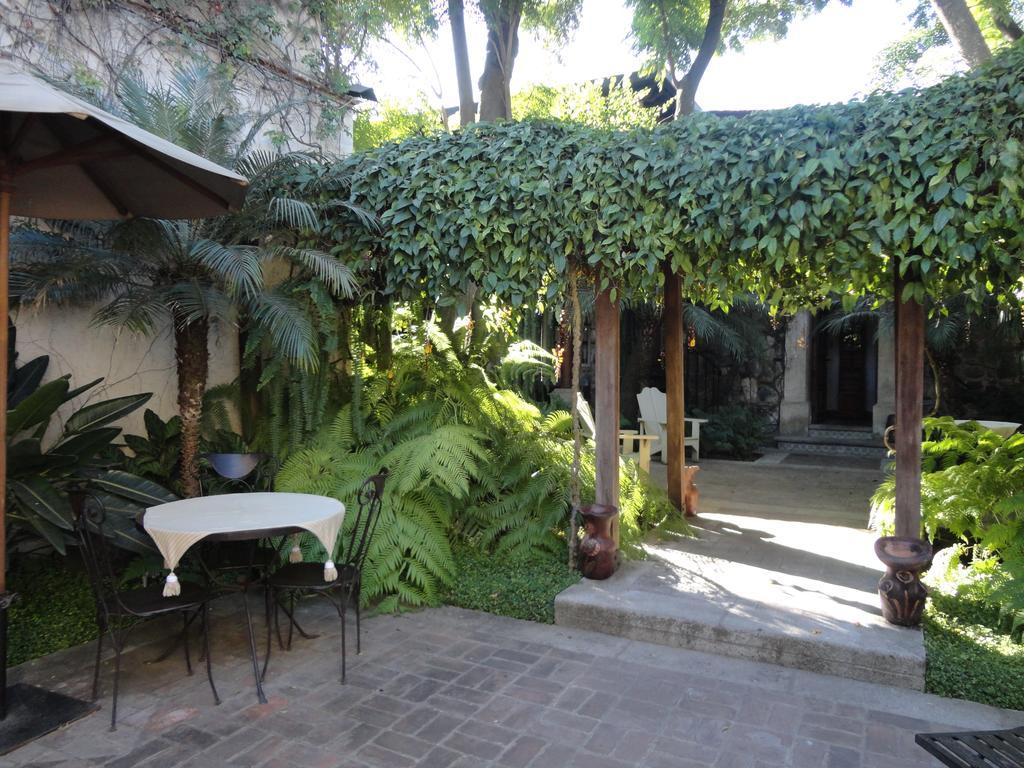 Cissus Hotel Boutique (Adults Only) Antigua Exterior photo