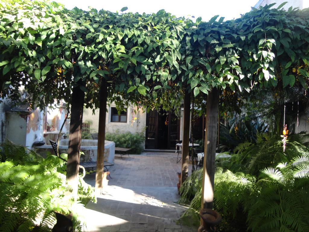 Cissus Hotel Boutique (Adults Only) Antigua Exterior photo