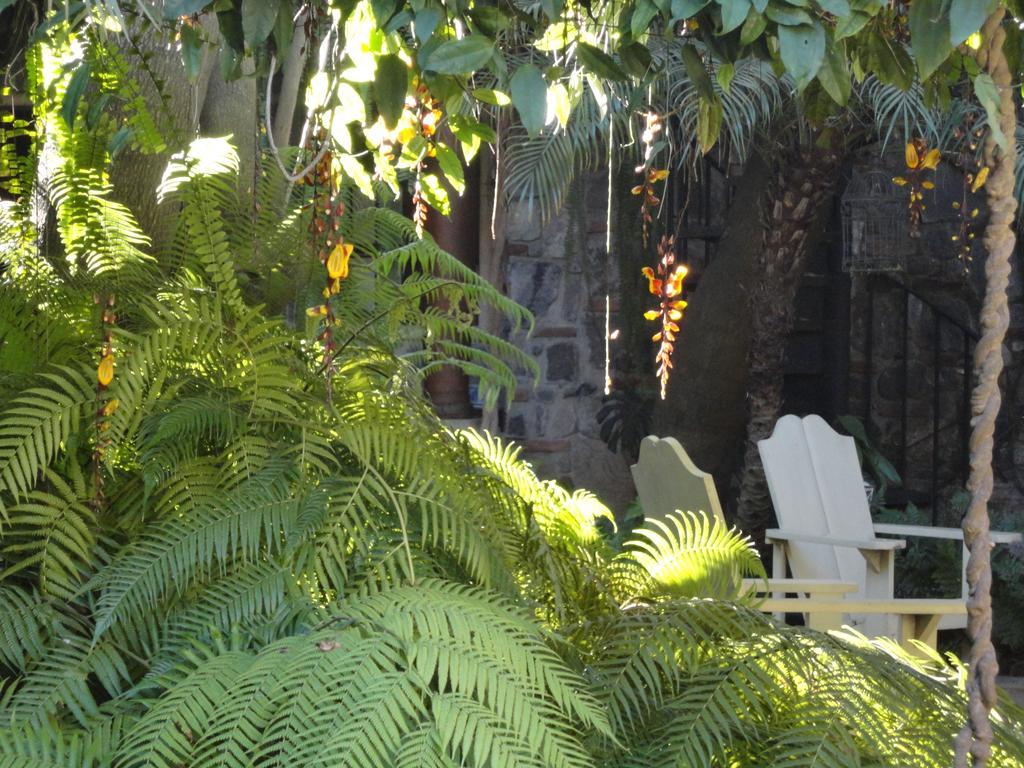 Cissus Hotel Boutique (Adults Only) Antigua Exterior photo