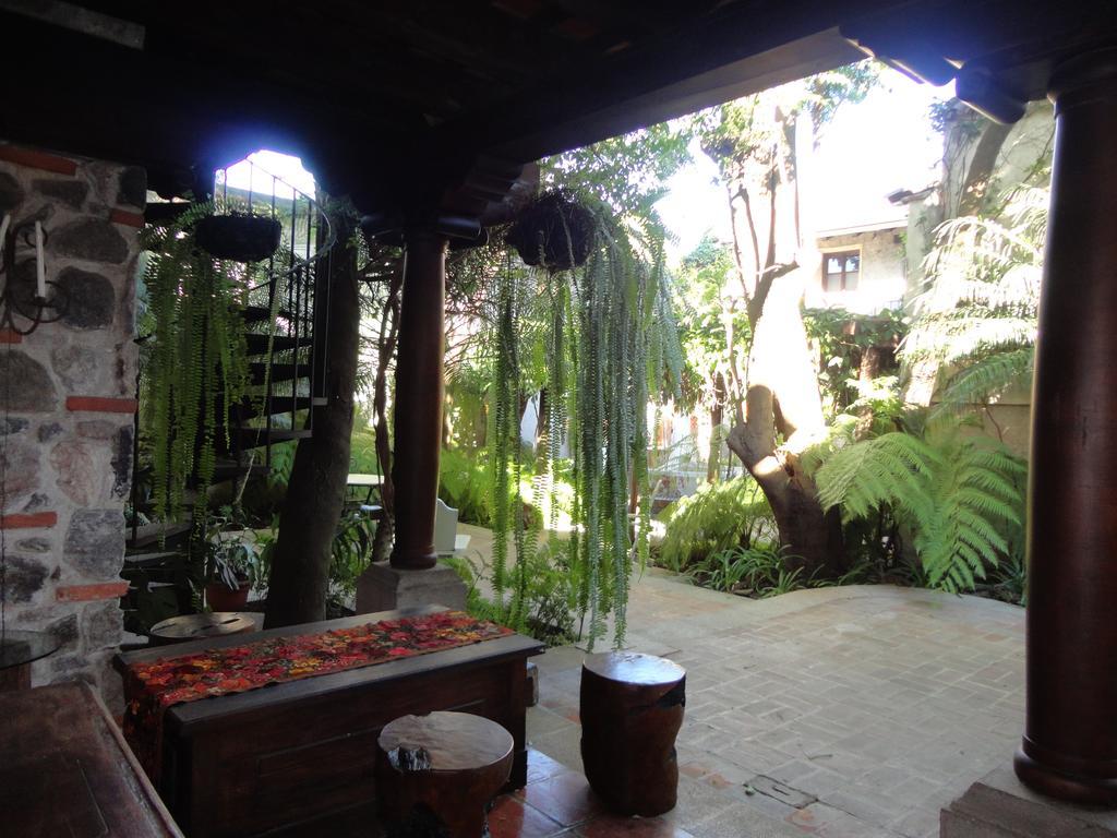 Cissus Hotel Boutique (Adults Only) Antigua Exterior photo
