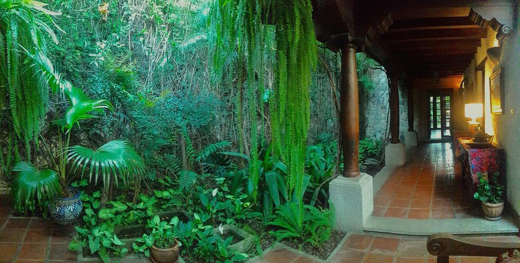 Cissus Hotel Boutique (Adults Only) Antigua Exterior photo