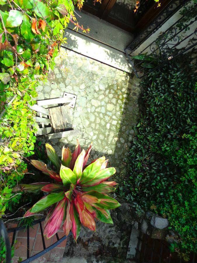 Cissus Hotel Boutique (Adults Only) Antigua Exterior photo