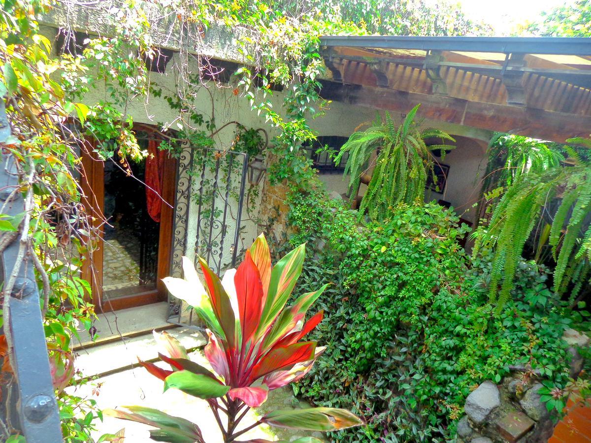 Cissus Hotel Boutique (Adults Only) Antigua Exterior photo